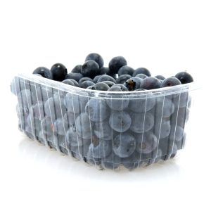 fresh blueberries