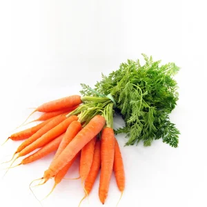 fresh carrots