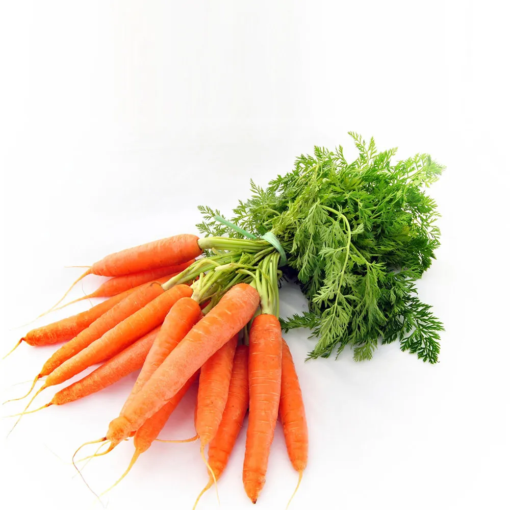 fresh carrots fresh carrots