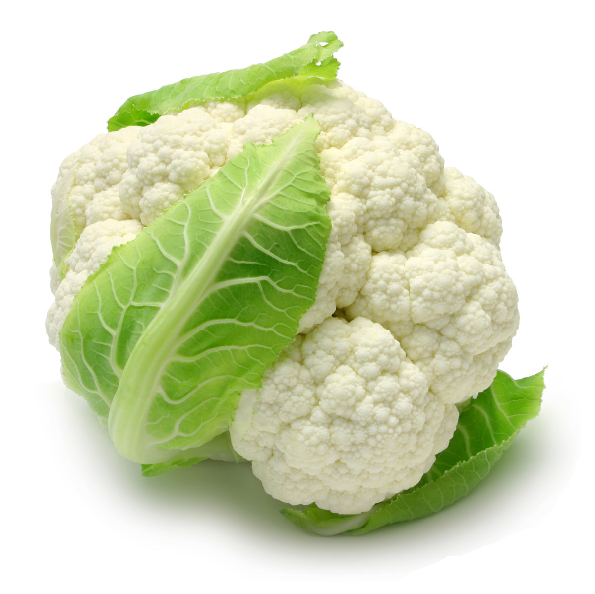fresh cauliflower fresh cauliflower