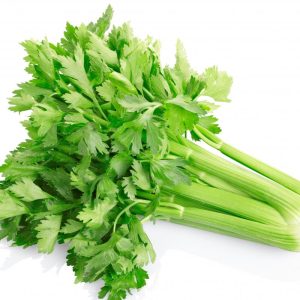 fresh celery