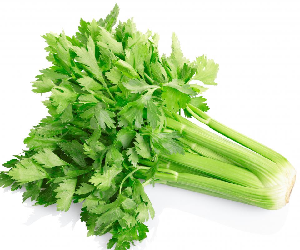 fresh celery fresh celery