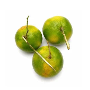 fresh tangerines