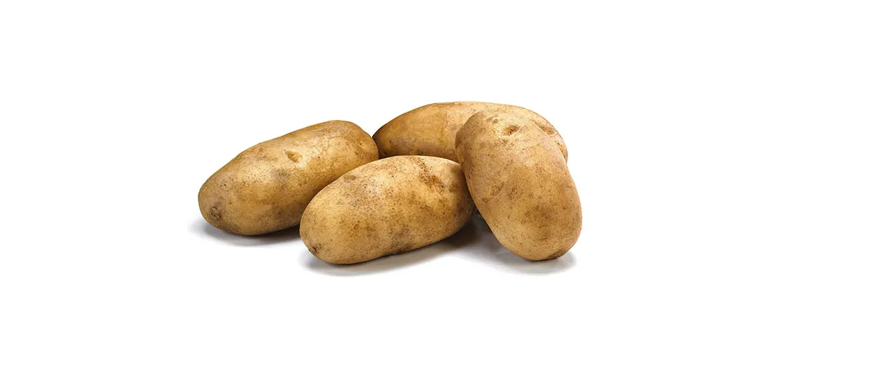 russet potatoes russet potatoes
